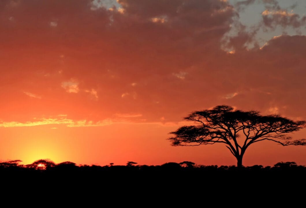  Serengeti Nationalpark